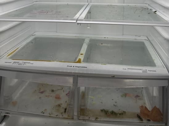 Fridge Refresh — before cleaning